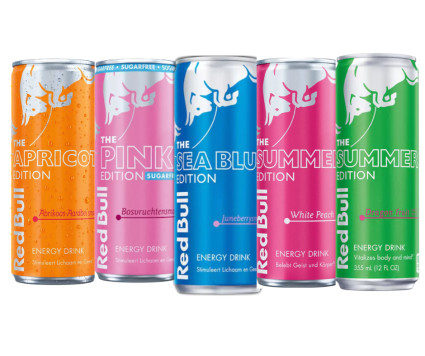 Red Bull Flavors 250 ml – All Editions | Supplier & Distributor UAE - Treasure Orbit Group